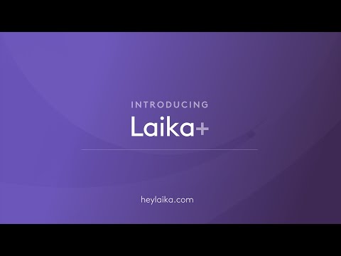 Our integrated audit feature: Laika+